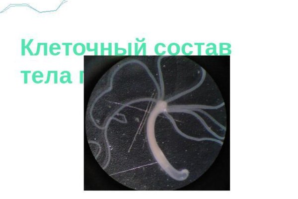 Кракен настоящее зеркало