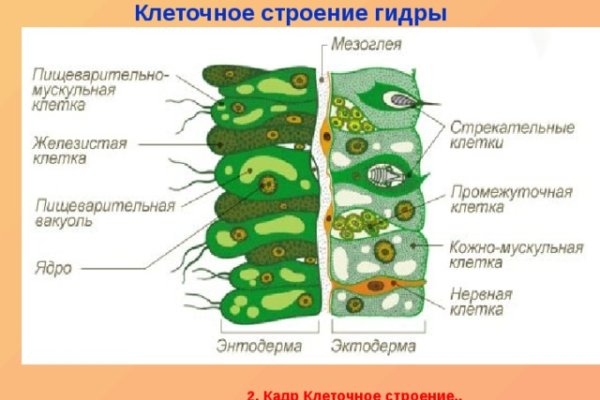 Кракен сайт krk market com