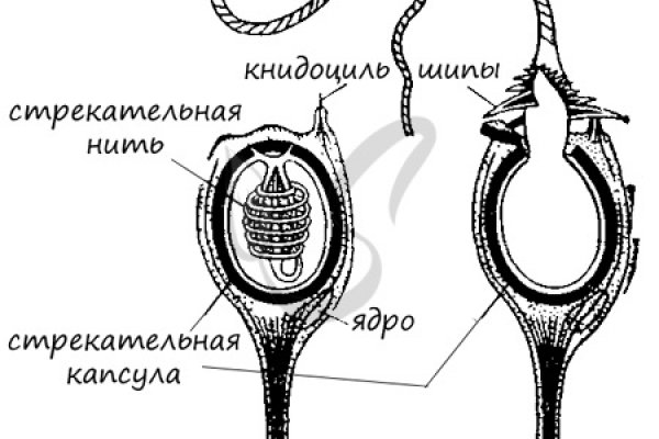 Кракен даркнет сайт ссылка